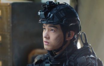 Белое оливковое дерево