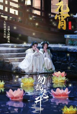 Просьба не мешать вознесению